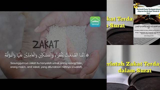 Perintah Zakat Terdapat Dalam Surah