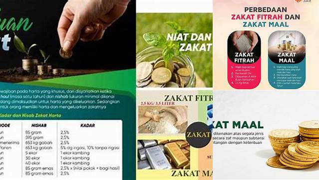 Peruntukan Zakat Mal