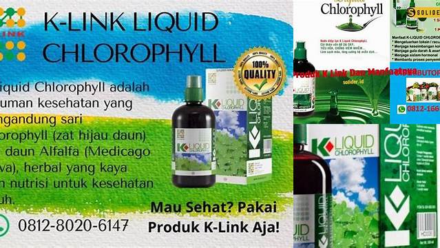 Temukan Manfaat Produk K-Link yang Jarang Diketahui