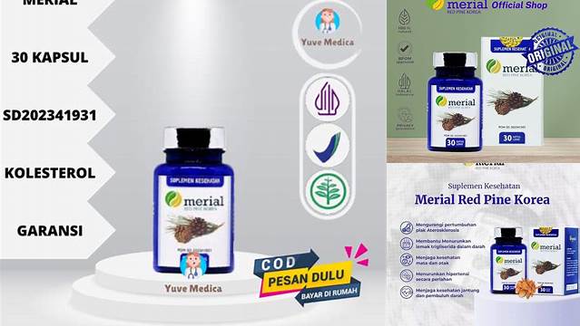 Temukan Beragam Manfaat Pinus Merah Korea yang Jarang Diketahui