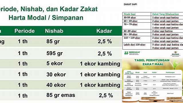 Rumus Zakat Mal