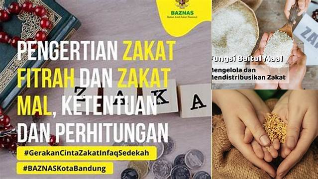 Salah Satu Fungsi Zakat Mal Adalah