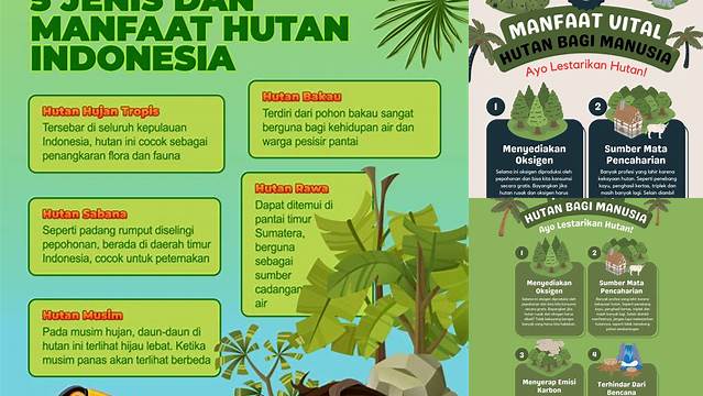 Temukan 5 Manfaat Hutan yang Jarang Diketahui
