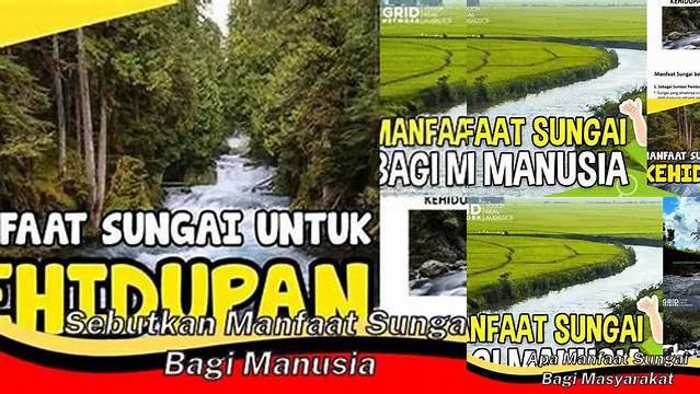 Temukan 5 Rahasia Tersembunyi Manfaat Sungai yang Jarang Diketahui