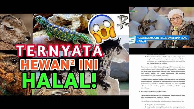 Temukan Khasiat Hewan Halal yang Jarang Diketahui