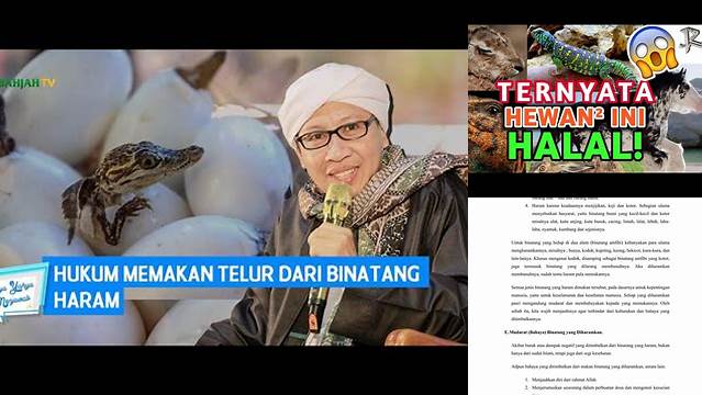 Ungkap 9 Manfaat Hewan Halal yang Jarang Diketahui