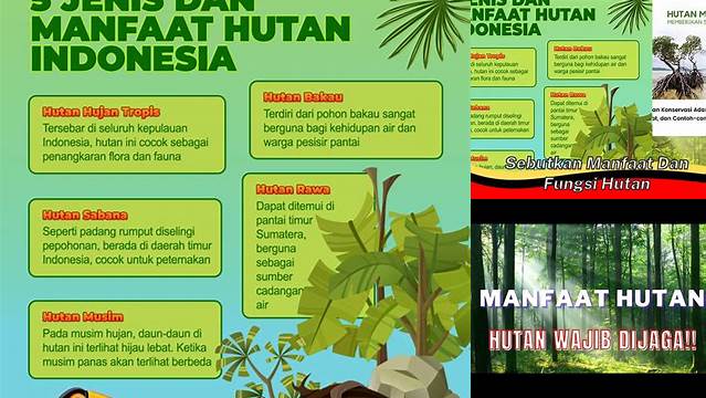 Manfaat Hutan yang Wajib Anda Ketahui dan Jarang Diketahui