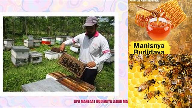 Temukan Manfaat Budidaya Lebah Madu yang Jarang Diketahui!