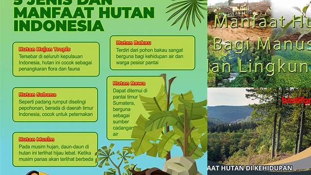 Temukan Manfaat Hutan untuk Hidup Manusia yang Tak Terduga dan Langka Diketahui