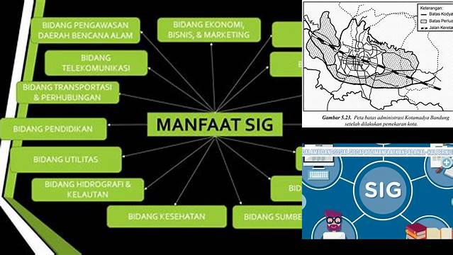 Temukan Manfaat SIG dalam Bidang Sosial yang Wajib Diketahui