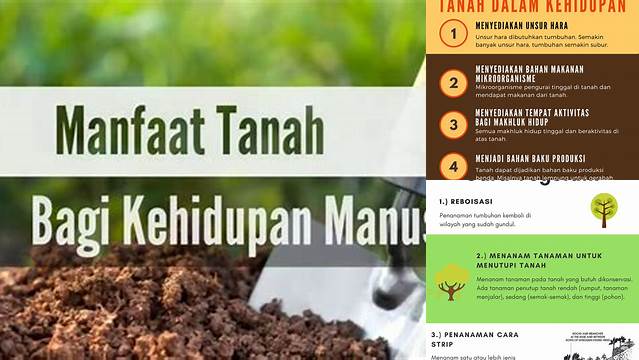 Temukan Manfaat Tanah yang Jarang Diketahui