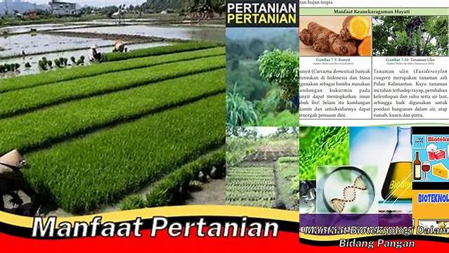 Temukan Manfaat Tanaman dalam Bidang Pangan yang Jarang Diketahui