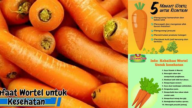 Temukan 10 Manfaat Wortel yang Jarang Diketahui