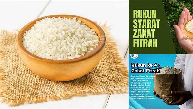 Sebutkan Rukun Zakat