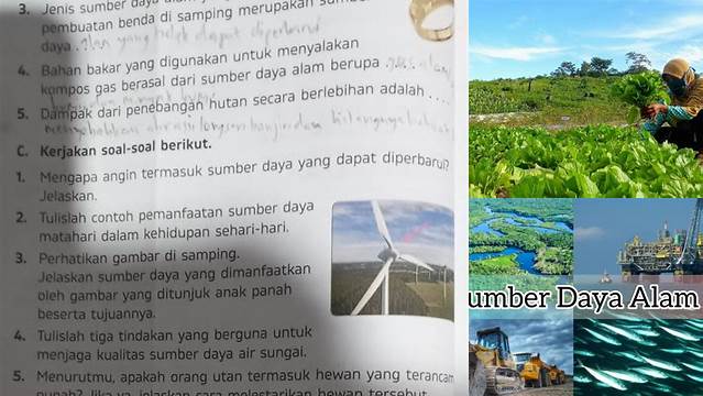 Temukan Manfaat Sumber Daya Alam yang Dimanfaatkan yang Jarang Diketahui