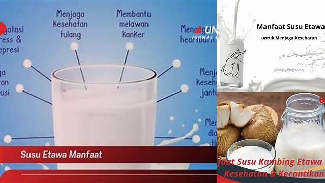 Temukan Manfaat Susu Etawa yang Tak Terduga dan Penting untuk Diketahui