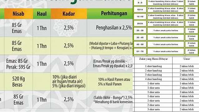 Tabel Zakat Unta