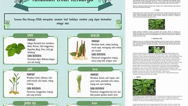 Pelajari Khasiat Tanaman Obat Keluarga yang Jarang Diketahui dari PDF "Tanaman Obat Keluarga dan Manfaatnya"