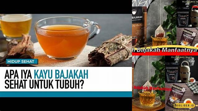 Temukan Khasiat Teh Bajakah yang Perlu Anda Ketahui