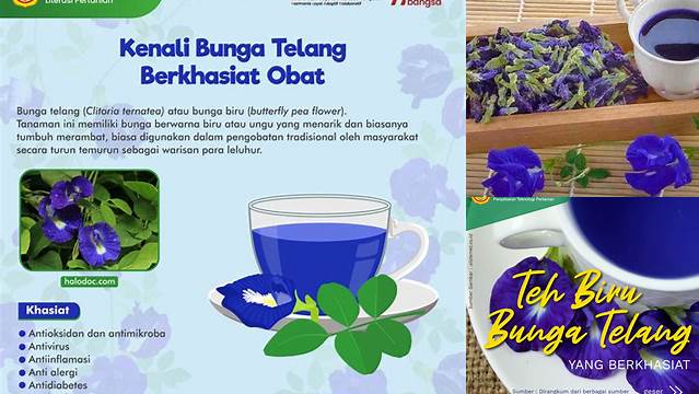 Ungkap Khasiat Teh Bunga Telang yang Jarang Diketahui