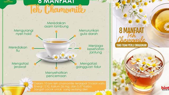 Ungkap Manfaat Teh Chamomile yang Jarang Diketahui