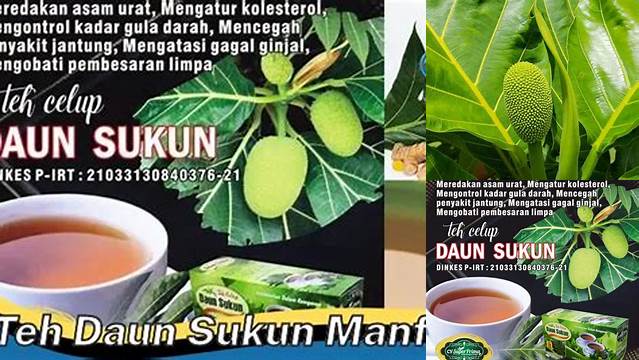 Temukan 10 Manfaat Teh Daun Sukun yang Jarang Diketahui