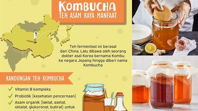 Temukan Manfaat Teh Kombucha yang Belum Banyak Diketahui!