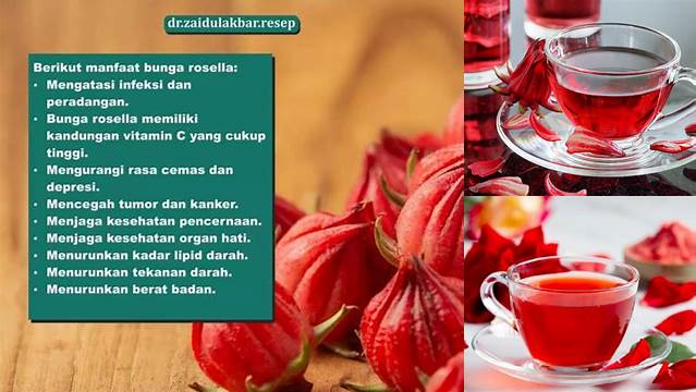 Temukan 10 Manfaat Teh Rosella yang Belum Diketahui