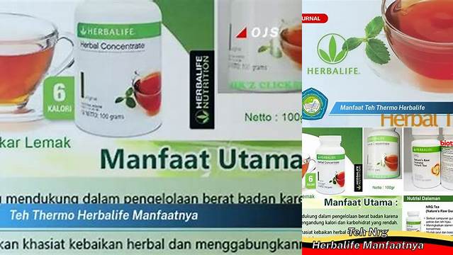 Manfaat Teh Thermo Herbalife Wajib Diketahui