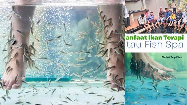 Temukan Manfaat Terapi Ikan yang Belum Banyak Diketahui