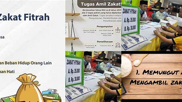 Tugas Amil Zakat