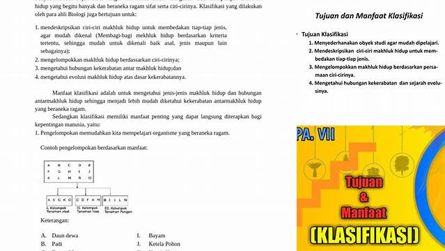 Temukan 5 Manfaat Klasifikasi yang Jarang Diketahui