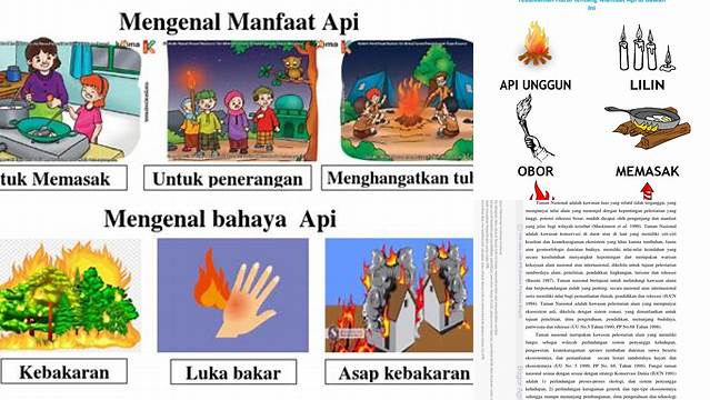 Temukan 4 Manfaat Api yang Jarang Diketahui