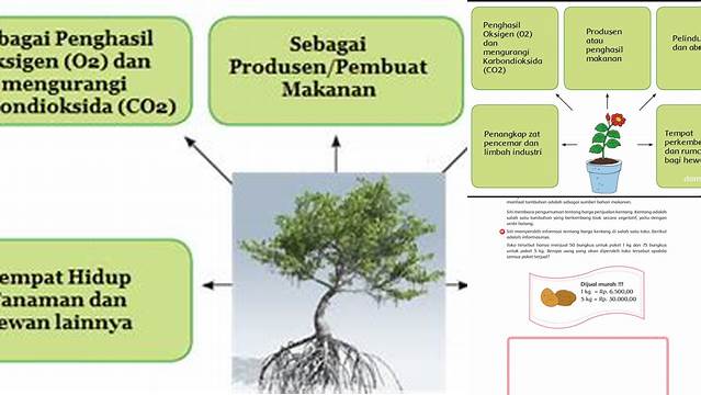 Temukan Manfaat Tumbuhan Bagi Makhluk Hidup yang Tidak Banyak Diketahui