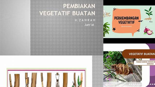 Temukan Manfaat Vegetatif Buatan yang Belum Diketahui Banyak Orang