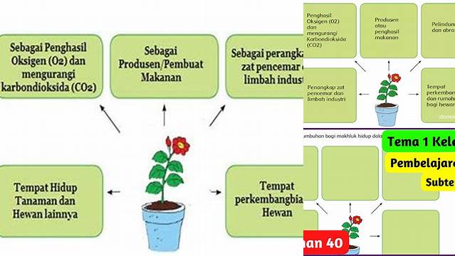 Manfaat Tumbuhan yang Jarang Diketahui, Wajib Tahu!