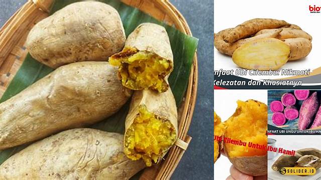 Temukan Manfaat Ubi Cilembu yang Jarang Diketahui