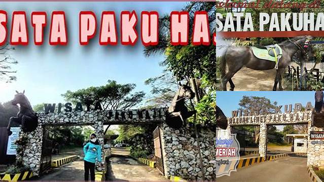 Wisata Paku Haji