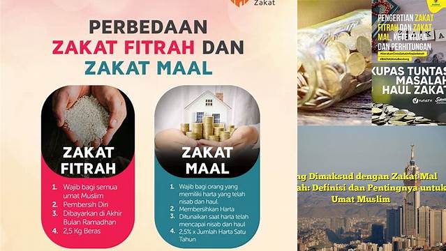 Yang Dimaksud Dengan Zakat Mal Adalah