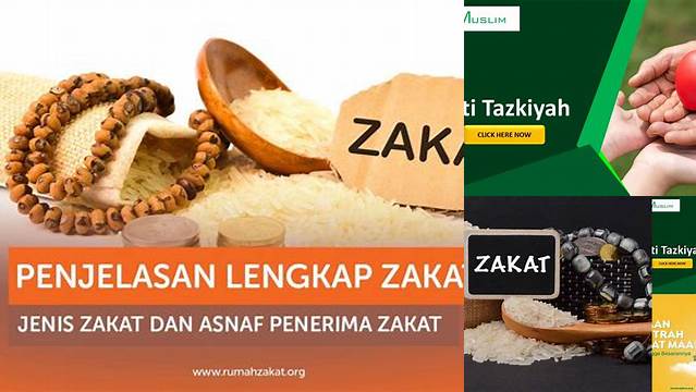 Zakat Berasal Dari Kata