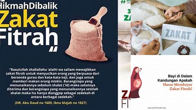 Zakat Fitrah Bagi Seorang Bayi Hukumnya