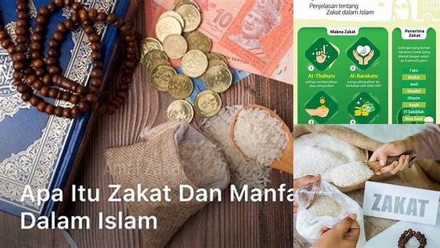 Zakat Itu Apa