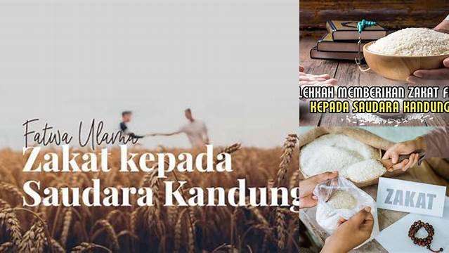 Zakat Kepada Saudara Kandung