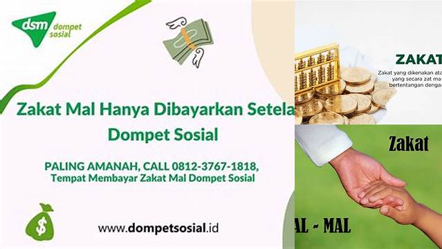 Zakat Mal Hanya Dibayarkan Setelah