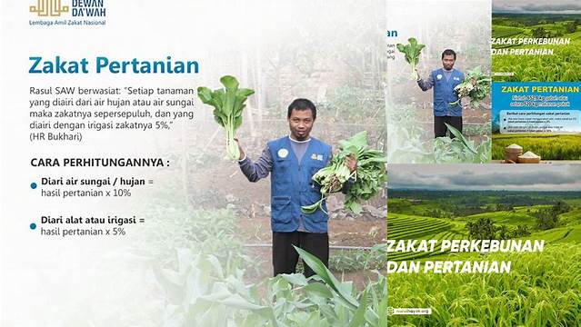 Zakat Pertanian Berapa Persen