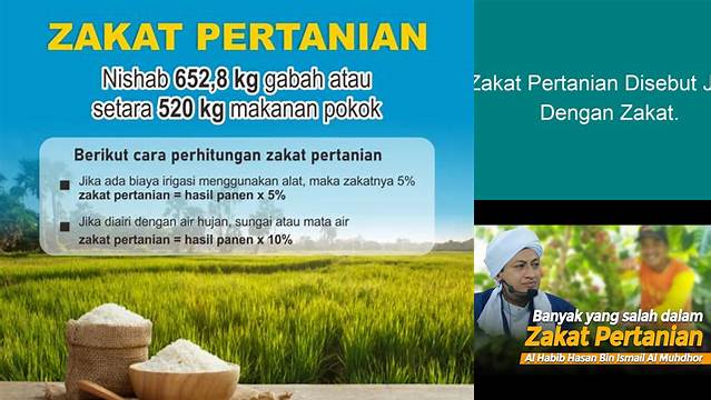 Zakat Pertanian Disebut Juga Dengan Zakat