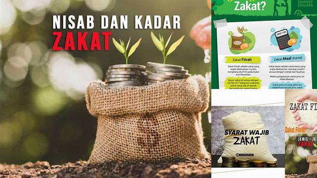 Zakat Yang Wajib Dikeluarkan